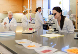 bariatrix nutrition investigadores